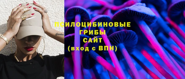 MDMA Заводоуковск