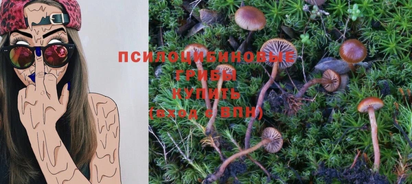 прущий лед Заволжье